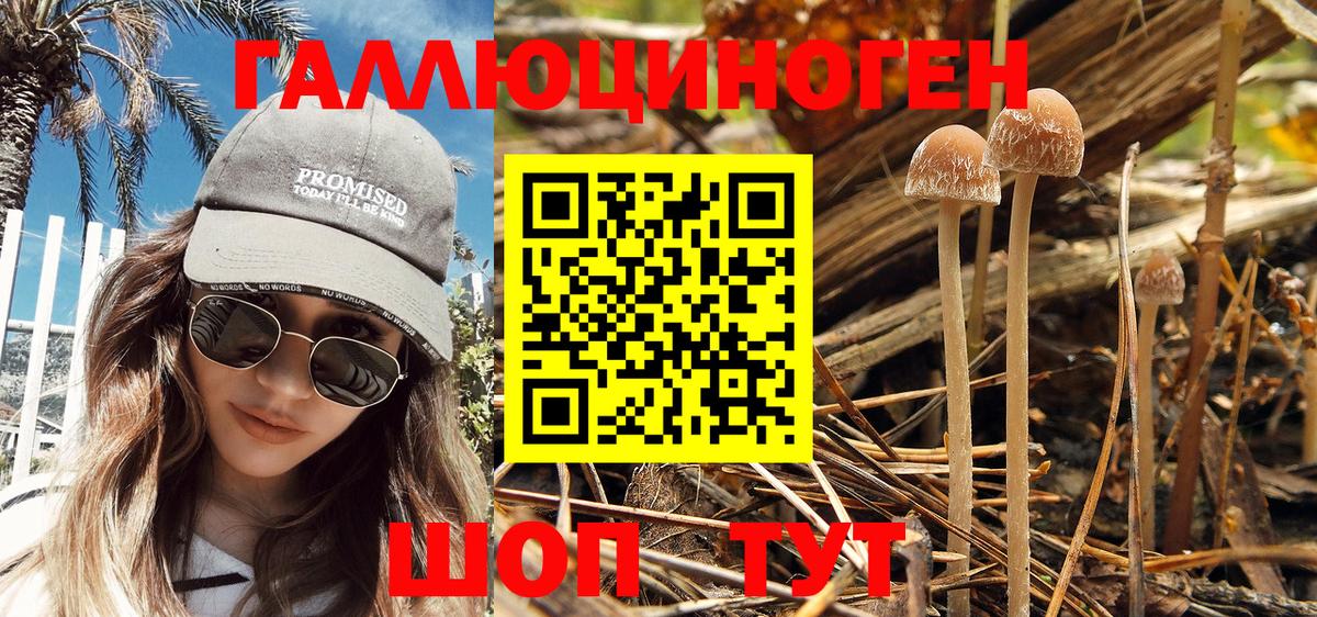 Серпухов  Галлюциногенные грибы Magic Shrooms  купить наркоту  Вход с VPN 